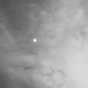 Meet your Posher, Tory